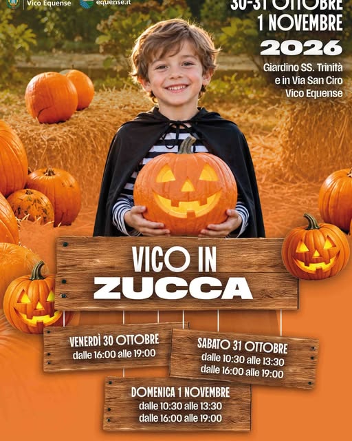 Plakat von Vico in Zucca
