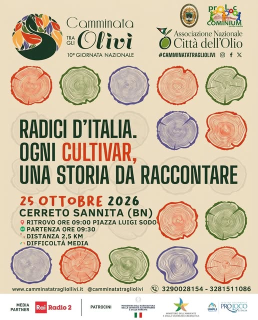 Plakat von Camminata tra gli olivi