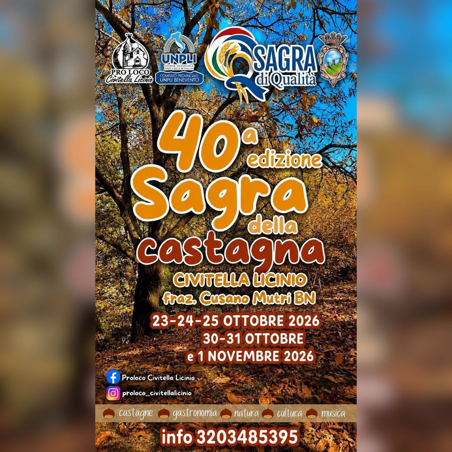 Poster for Sagra della Castagna